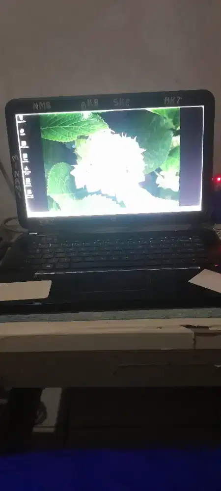 Laptop hp notebook 14