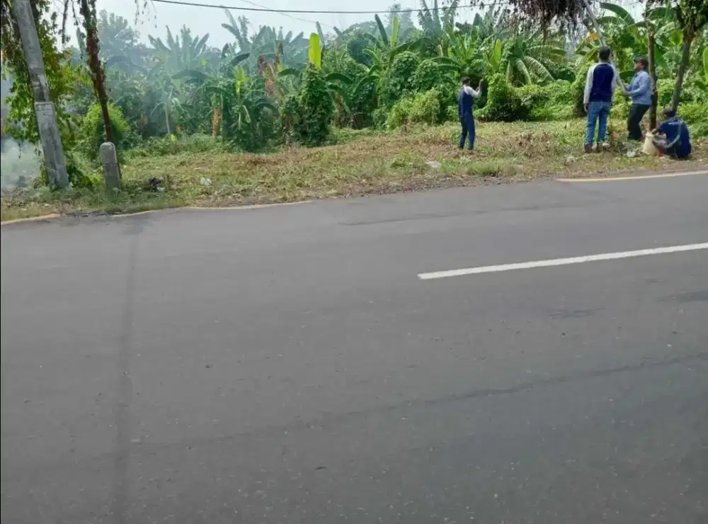 Tanah bagus nempel jalan raya nasional Kendal cocok buat bisnis