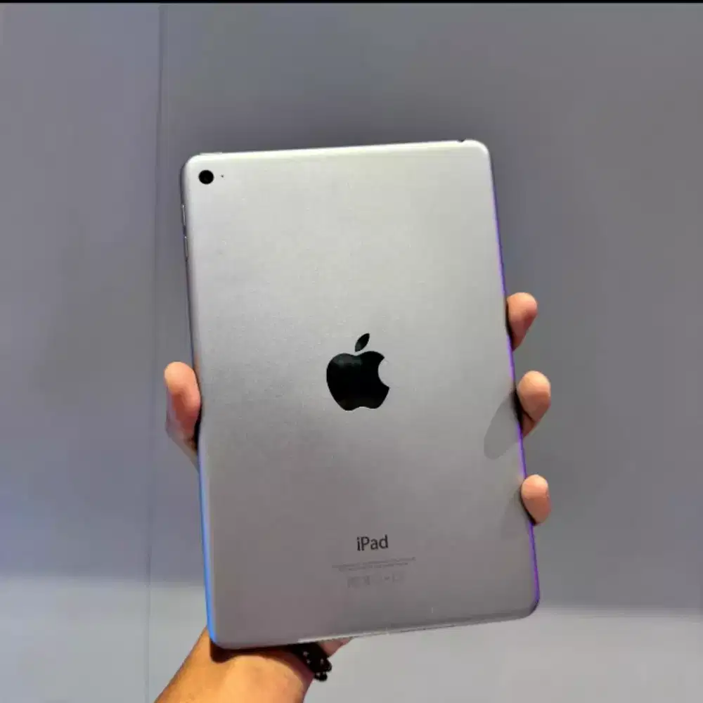 iPad mini 4 128 wifi unit only