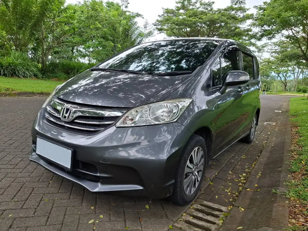 Freed E PSD Matic 2013