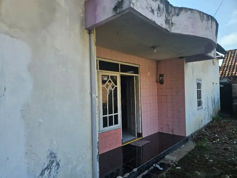 Di butuhkan ART /baby sister