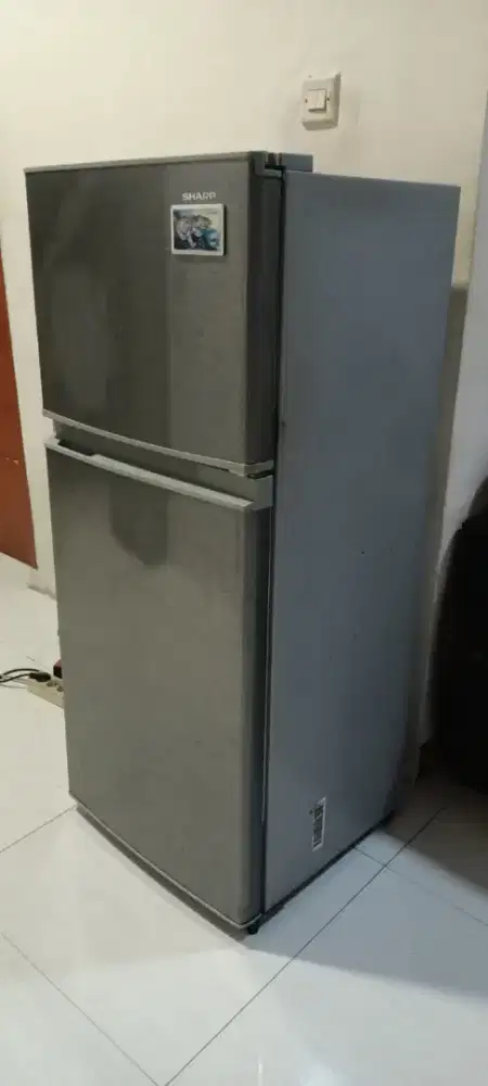 Kulkas sharp 2 pintu full muluss
