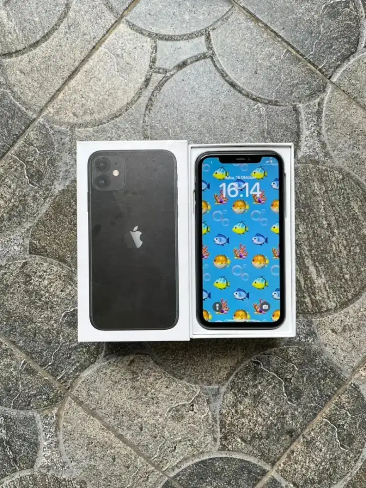 iphone 11 ibox 64gb
