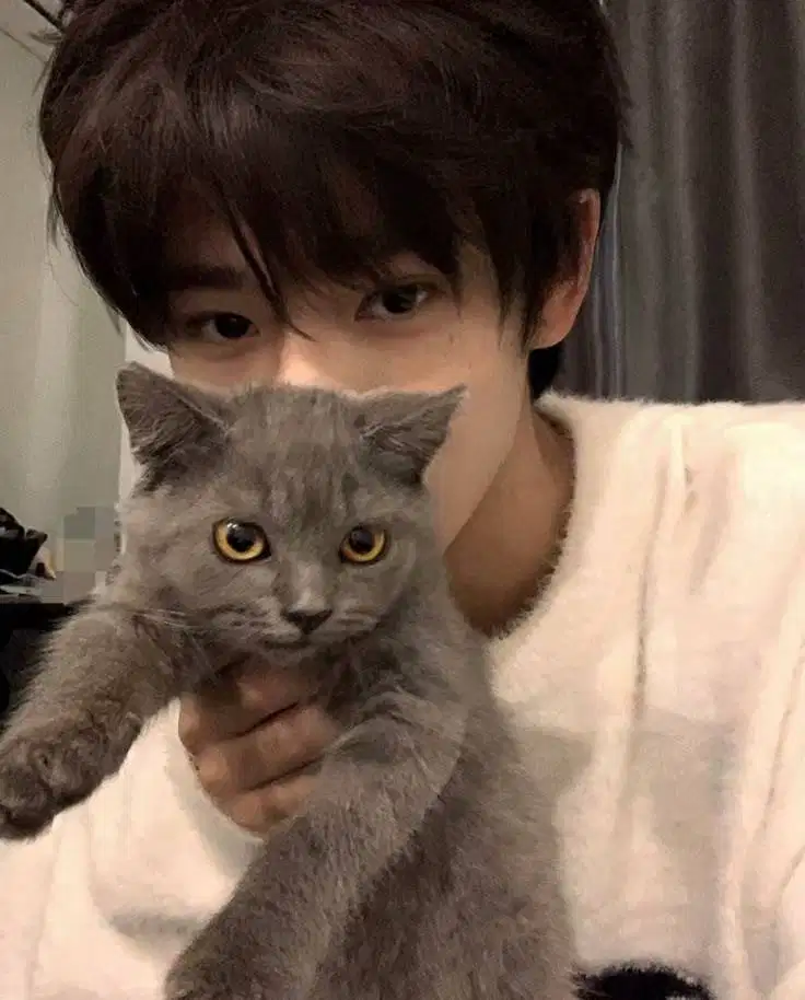 LOKER cat boy/girl untuk Pet Shop di Bekasi Timur