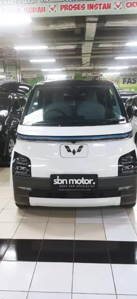 Wuling Air Ev LR 300KM 2024