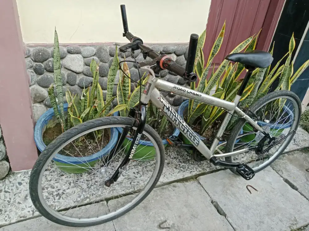 Sepeda gunung wimcycle