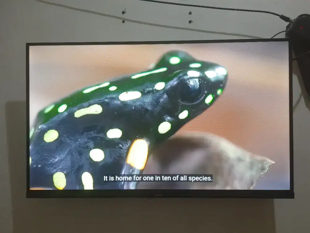 Coocaa 32s2u coolita 3.0 smart tv 32 inch