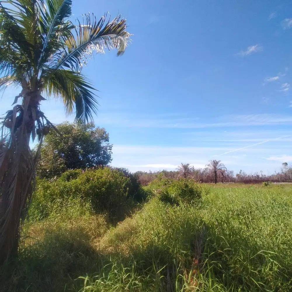 Dijual Tanah Luas 1.125 m2 di Sri Meranti, Rumbai - Harga Super Murah!