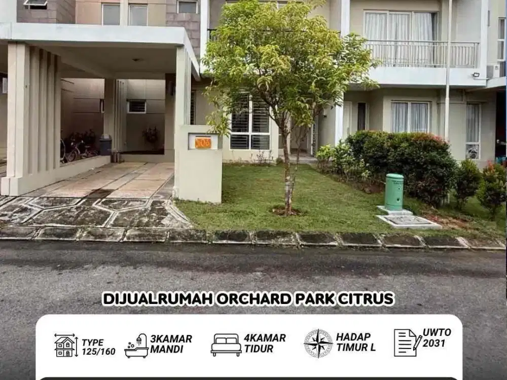 orchard park citrus dijual