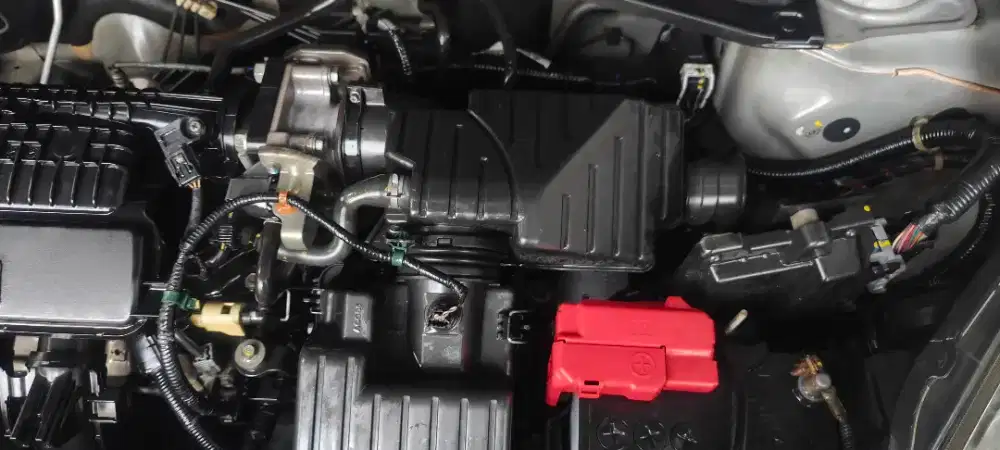 Brio Rawatan Jual BU