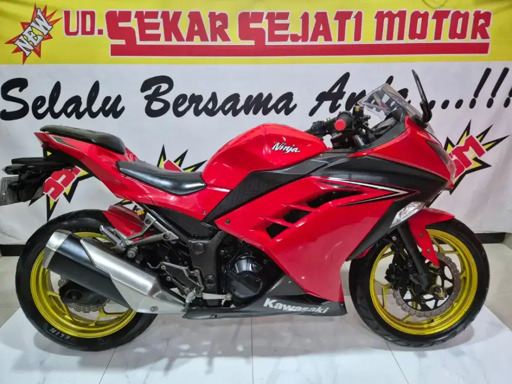 Ninja 250 2016 readyy