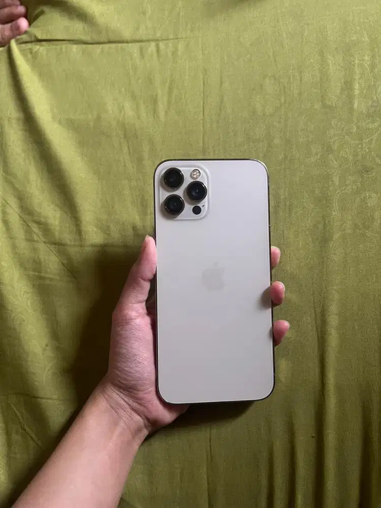 IP 12 PM 128gb inter allop fullset minus lecet pemakaina