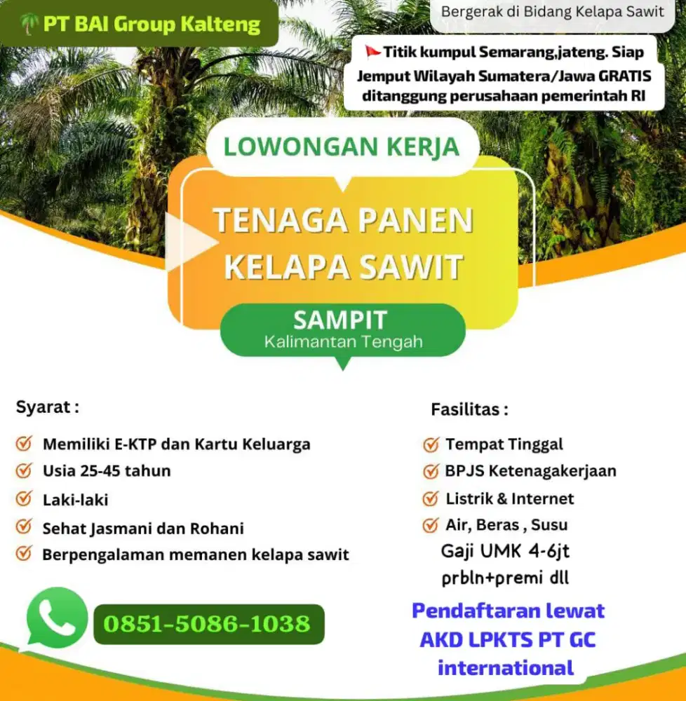 Loker Perkebunan perusahaan besar kelapa sawit Kalimantan.