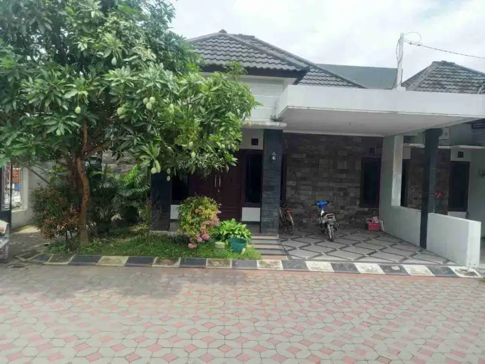 Cluster Elite Bersecurity Dekat Smp 1 Kartasura