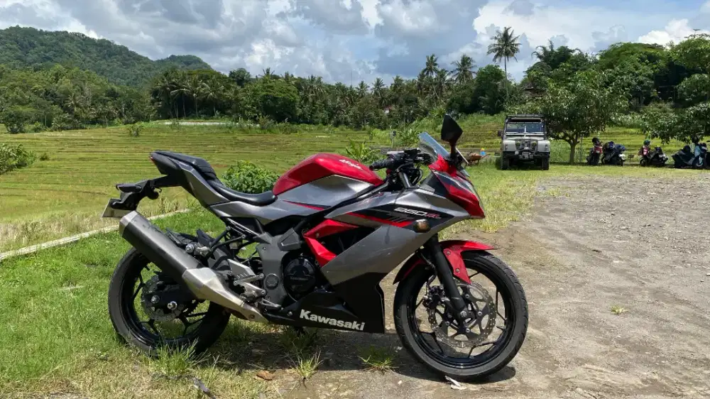 Kawasaki ninja 250 SL