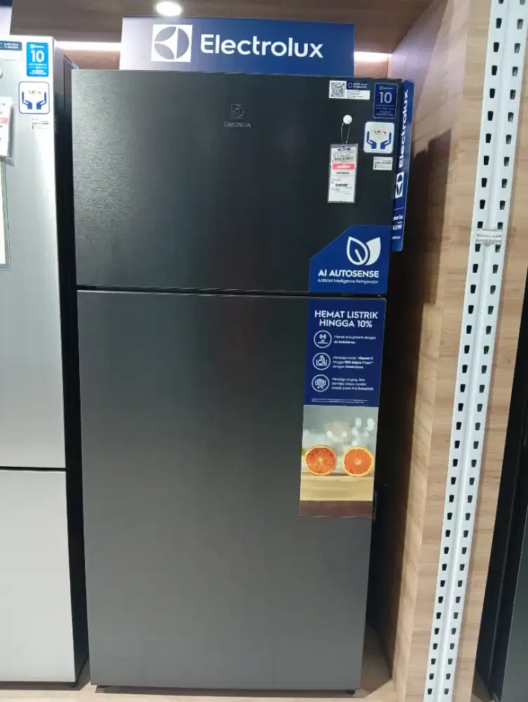 ELECTROLUX REFRIGENERATOR 2D 503LETM5002C-B 2D