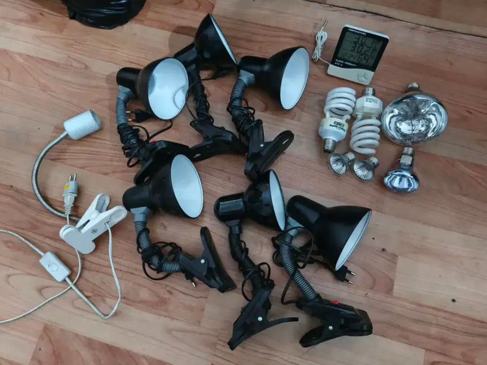 Perlengkapan kura-kura darat / reptile