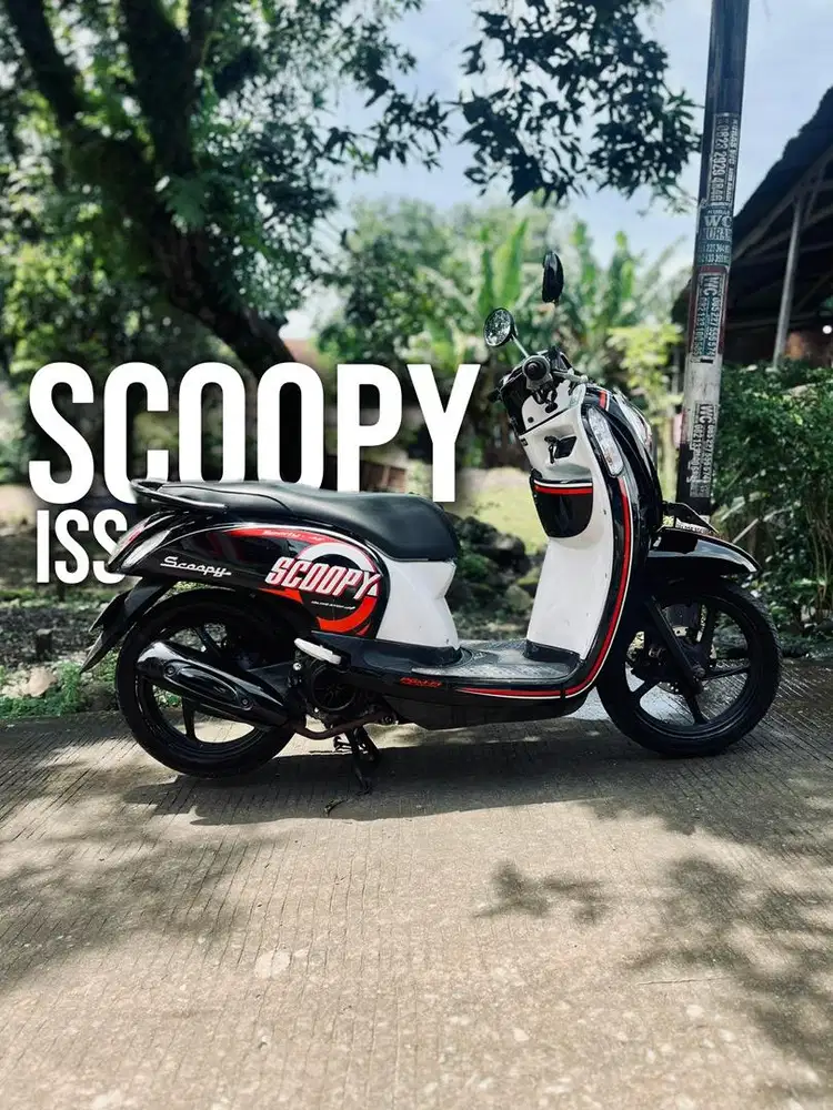 Scoopy ESP ISS 2016