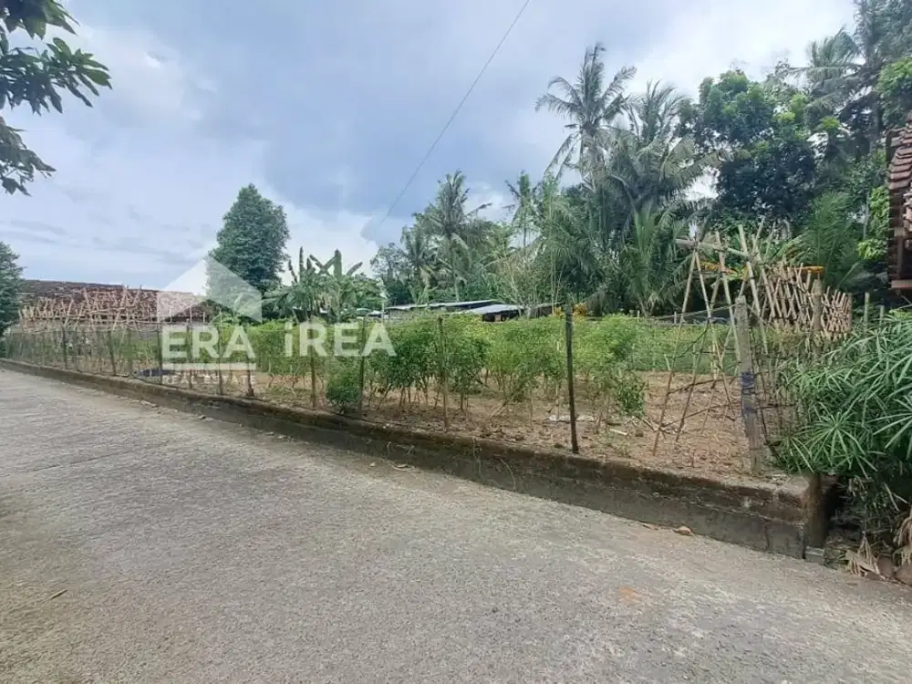 TANAH DIJUAL DI JOGJA DEKAT PANTAI DEPOK