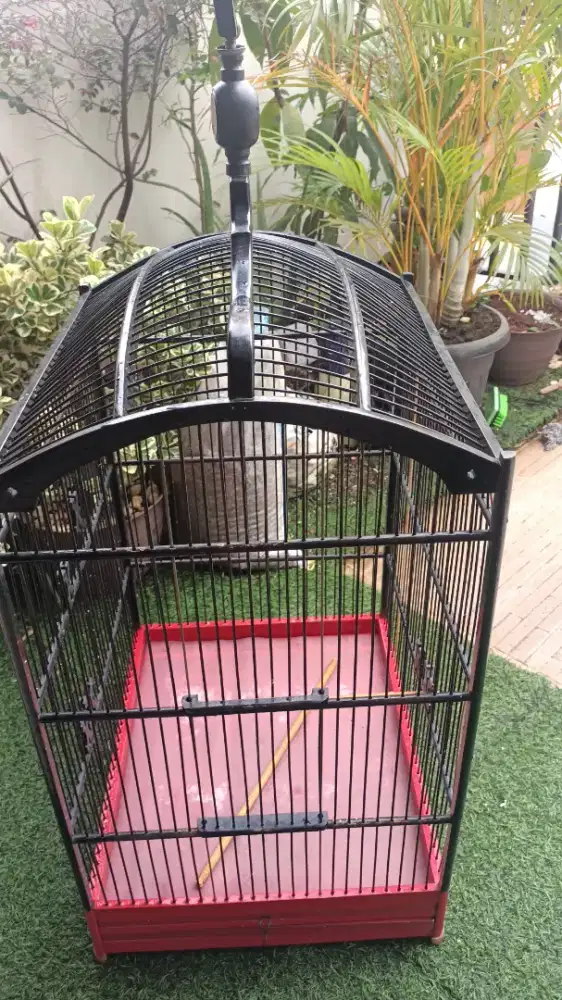 Sangkar bekas merk ORIQ no.1