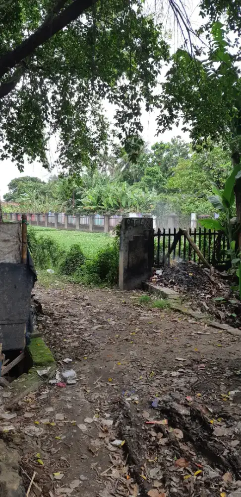 Di jual Cepat, Tanah kebun, tanjung burung Teluk naga