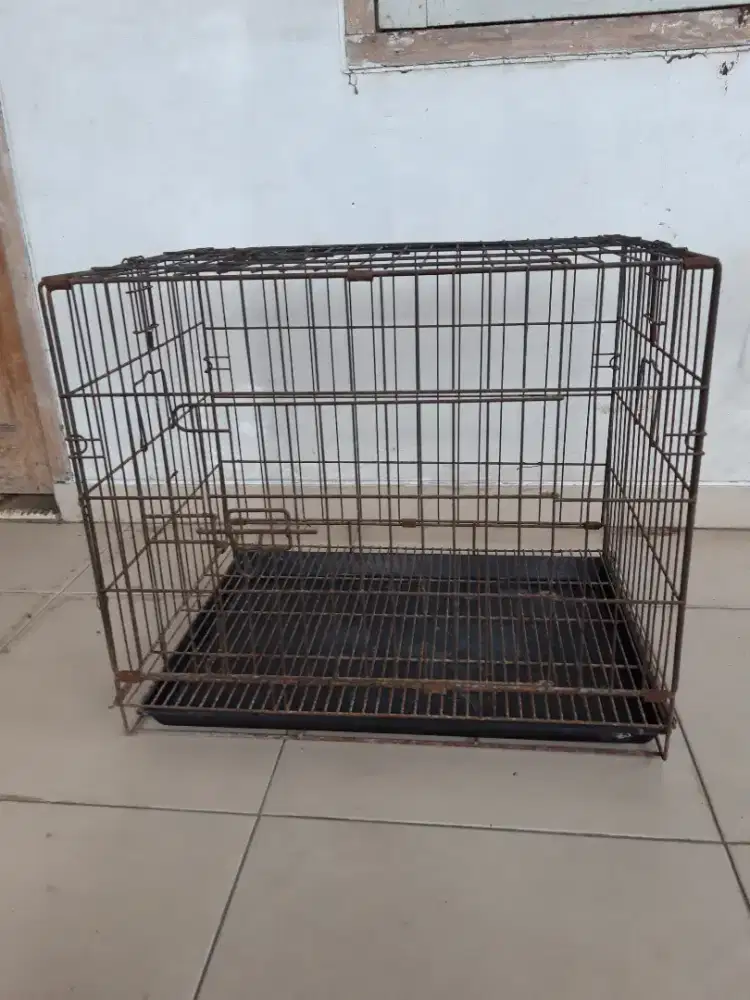 Jual kandang kucing bekas