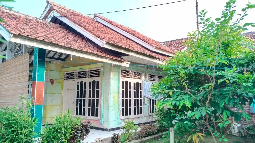 jual rumah kampung