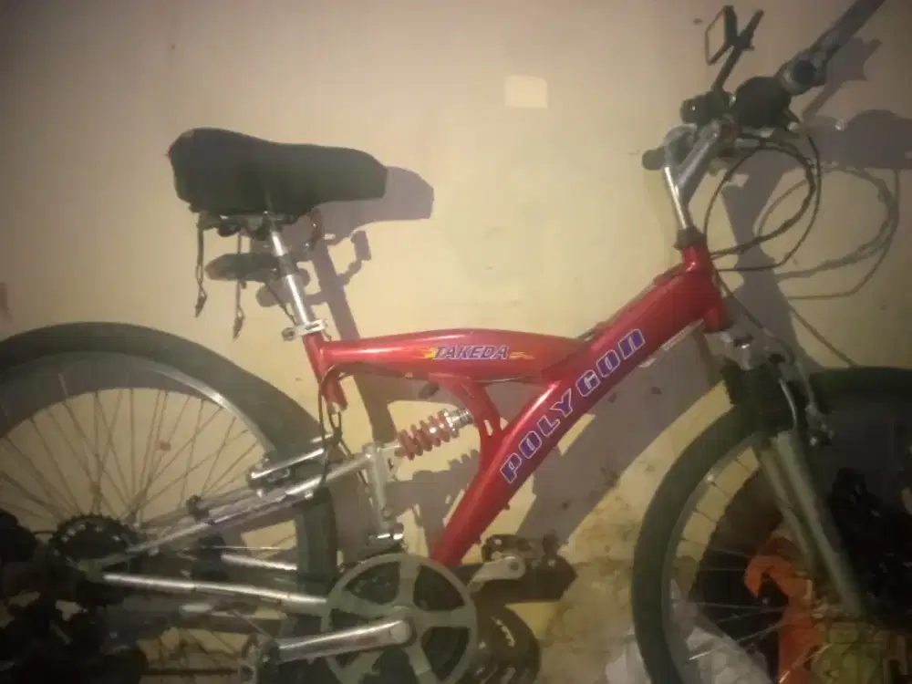 Sepeda bekas Polygon pertama Ory