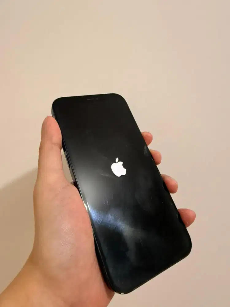 Iphone 12 pro max 256GB