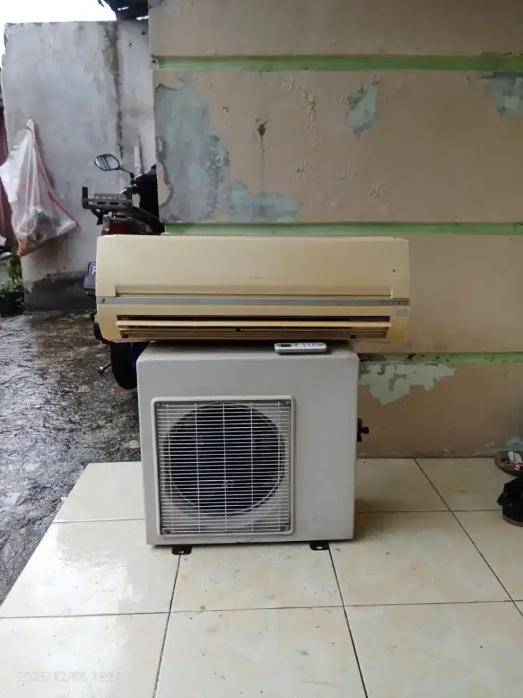 AC 3/4 PK gado - gado