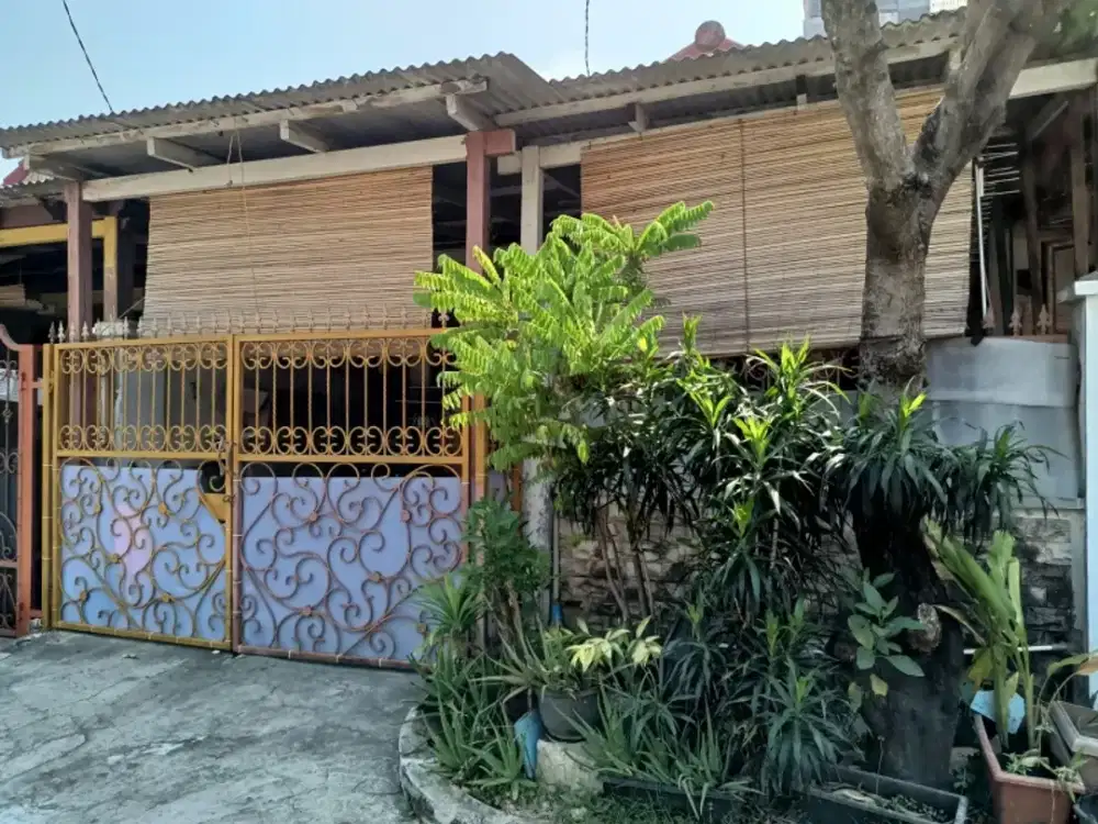 Dijual cepat Rumah di Alam Raya, tangerang