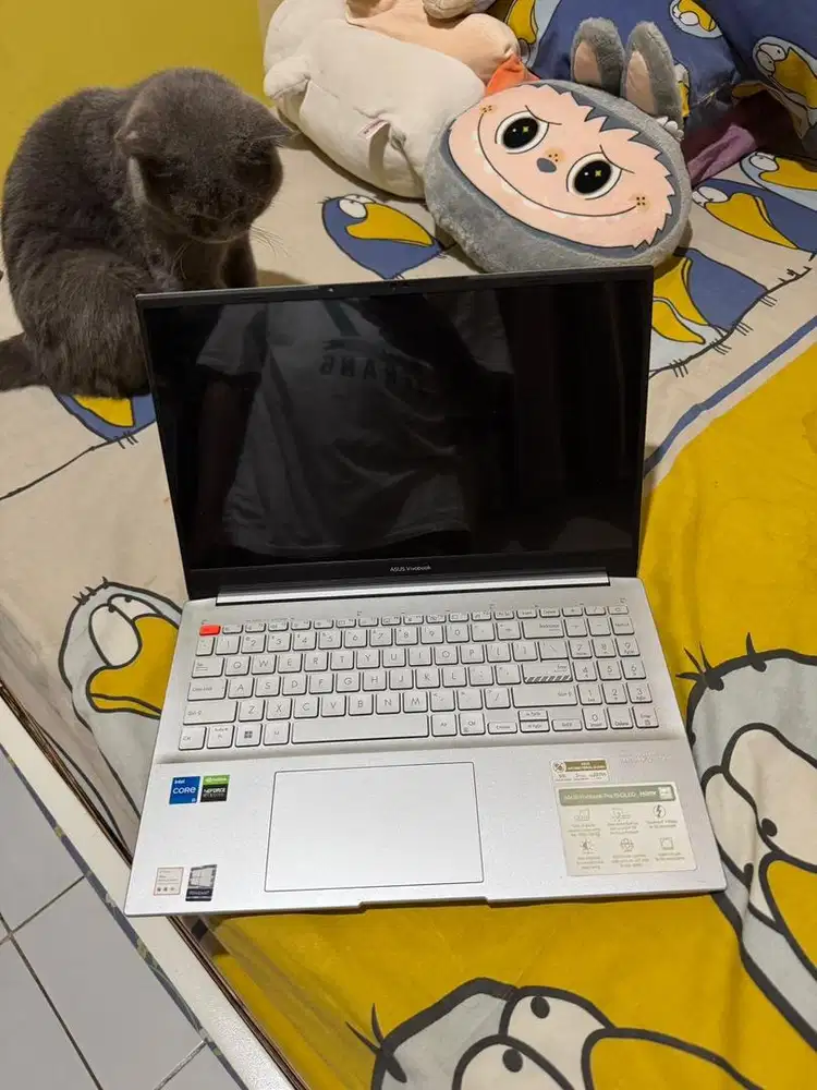 Asus VivoBook Pro 15 Oled