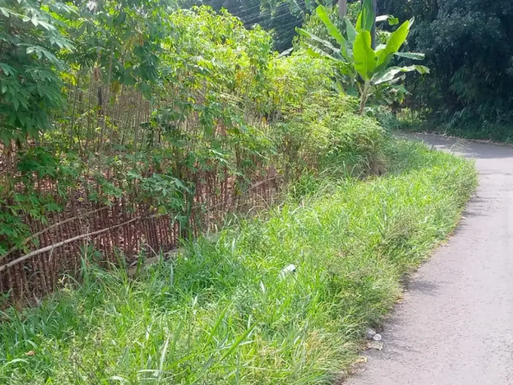 2 Menit Camping ground paguyuban gunung Kavling Murah Cashback 40 Jt