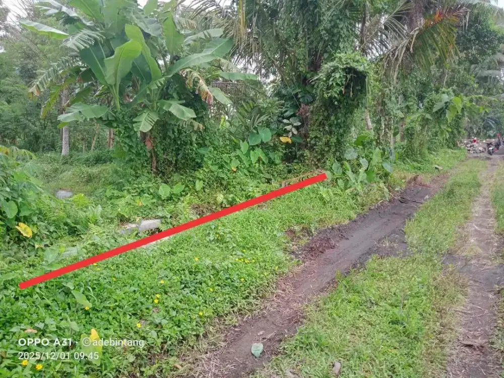 Dijual Tanah Sawah di Perum Margorejo Asri Caturharjo Sleman