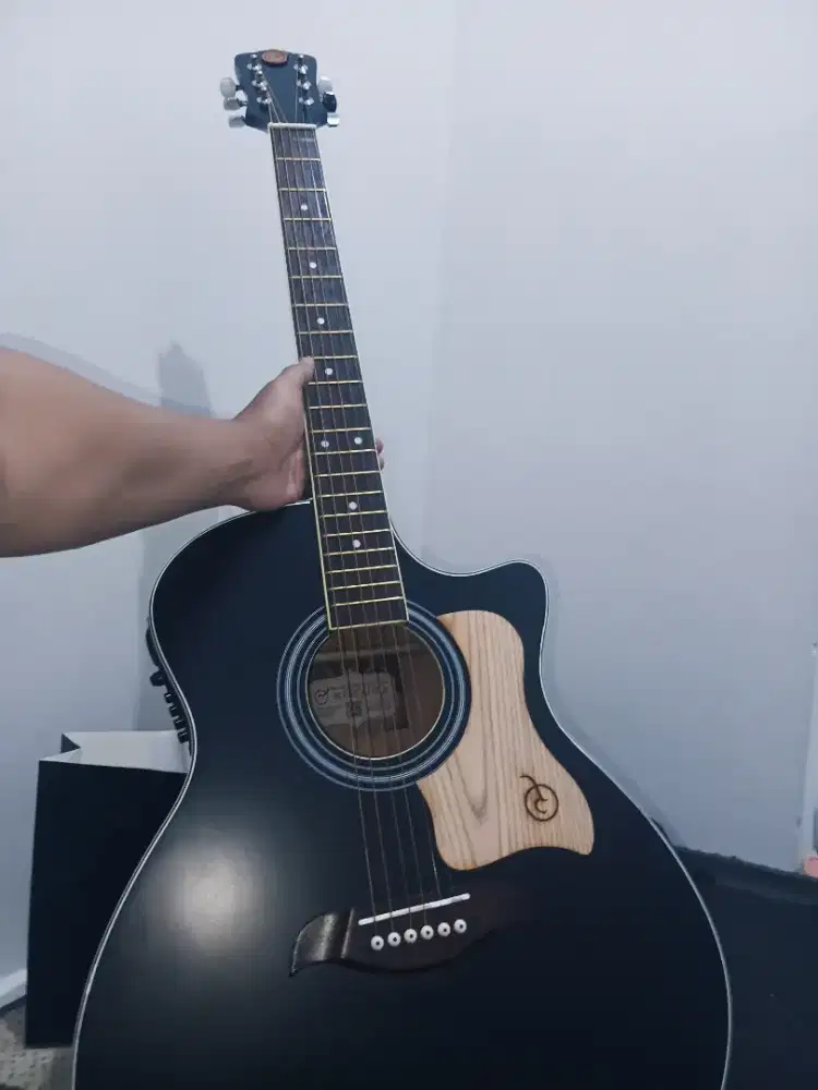 Gitar akustik elektrik mandalika dts