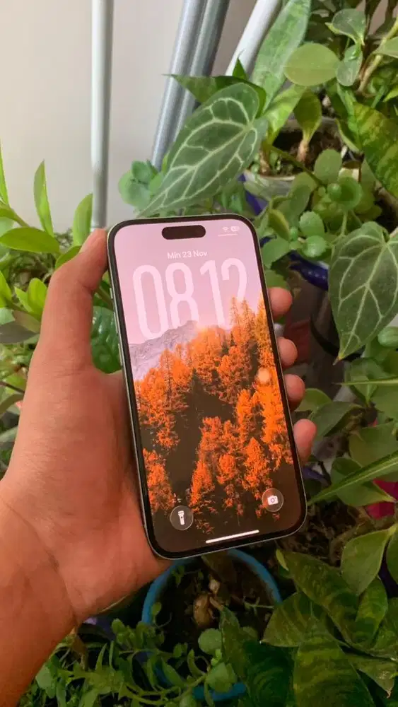 iPhone 15 128gb iBox Green