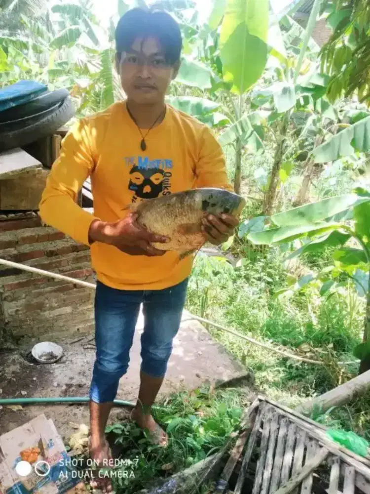 Menerima  jasa bangun rumah dari nol dan jasa renofasi ,bocoran dll