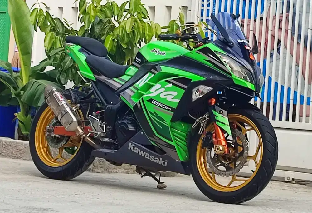 Kawasaki Ninja 250FI