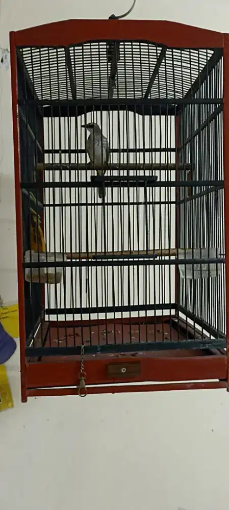 Crucuk trucuk sama kandang sangkar