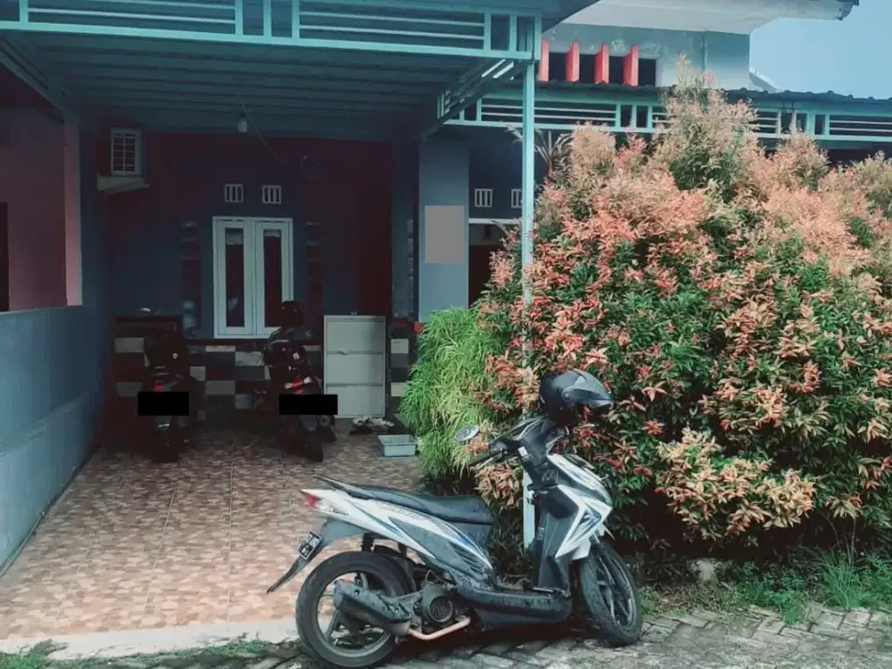 Dikontrakkan Rumah Include Furnish dekat UNDIP Tembalang, Semarang