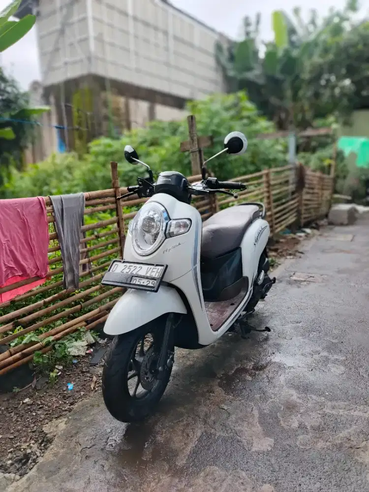 Scoopy stylish iss