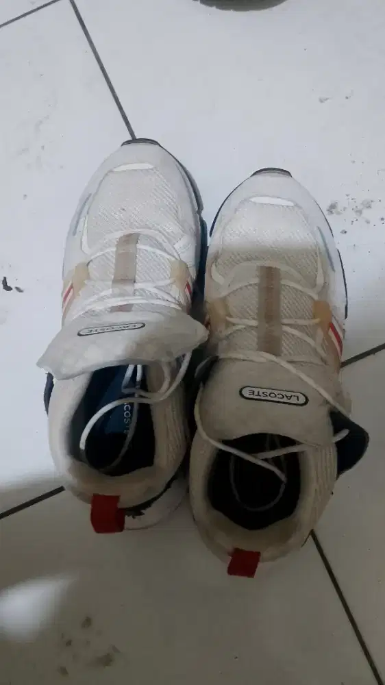 Sepatu Lacoste pria UK 42