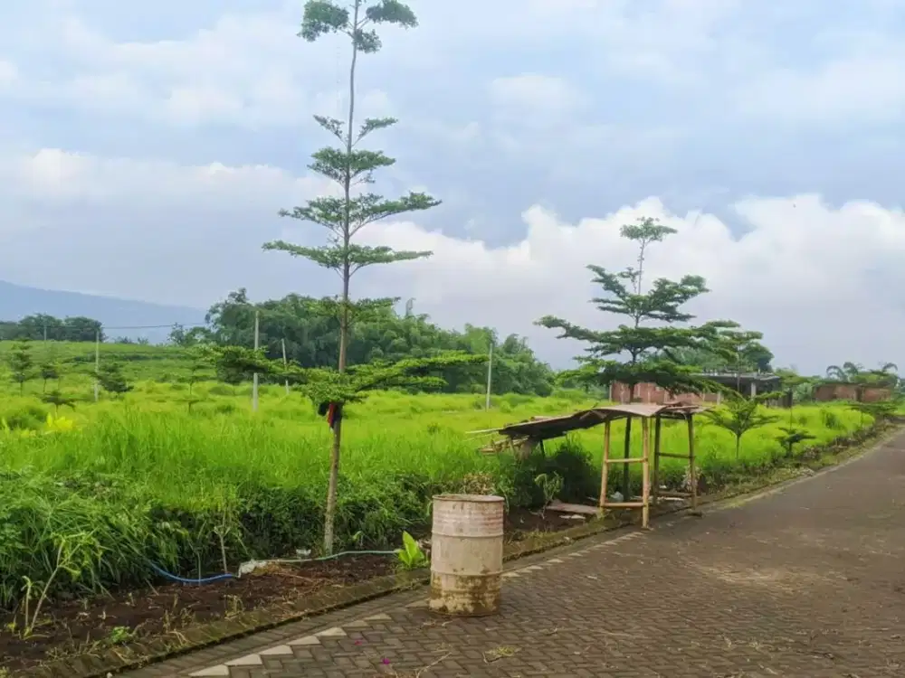Lahan Ideal di Jl. Locari Dau Malang, Cocok untuk Hunian & Investasi