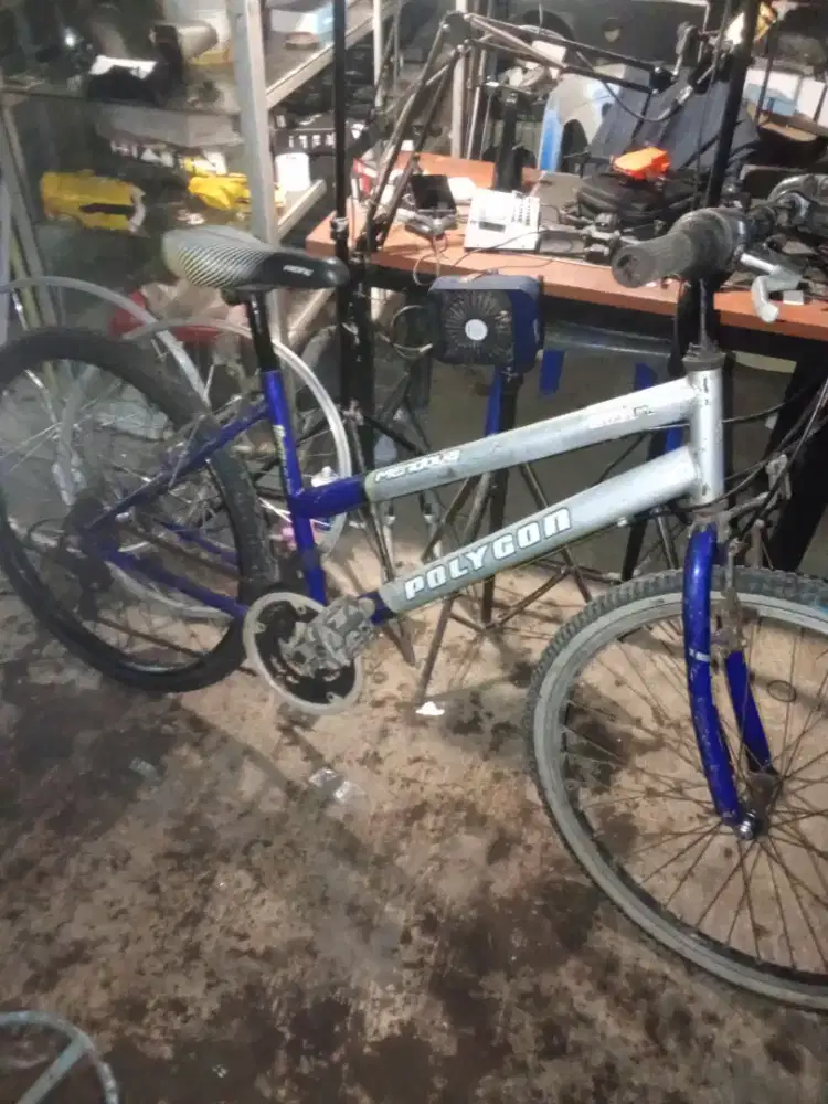 Poligon lady 26 siap pakai