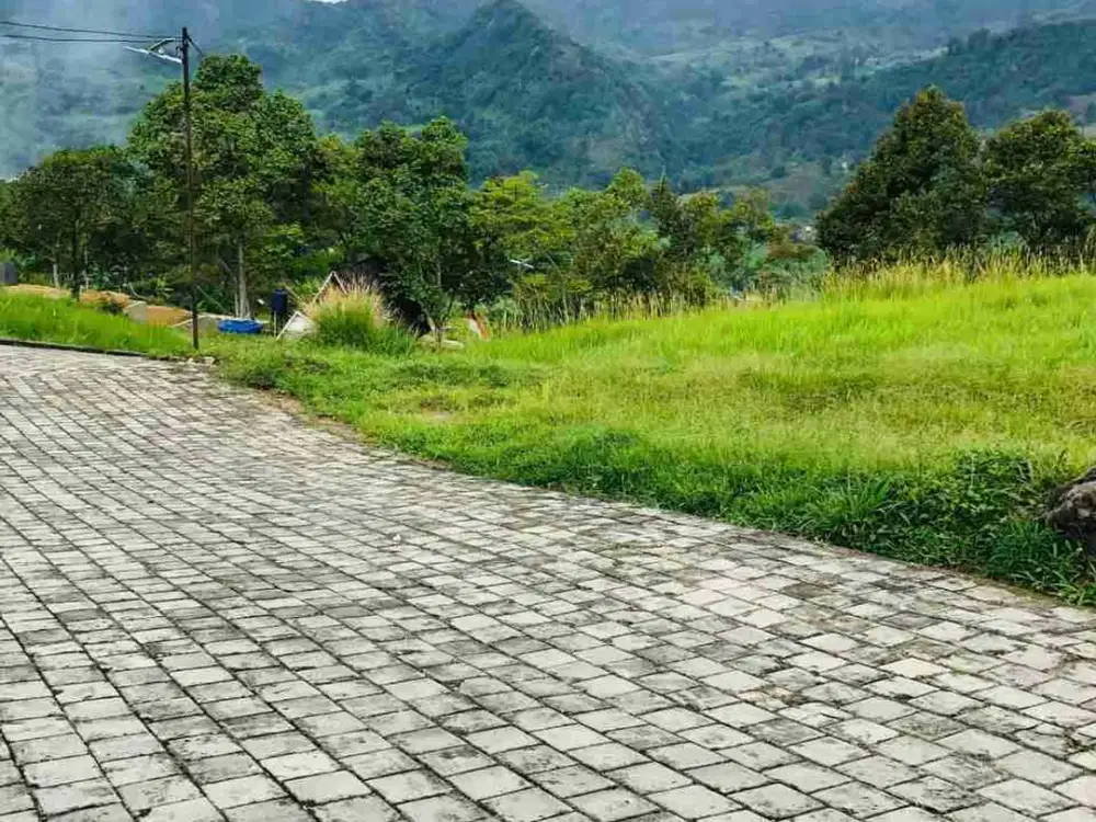 TANAH KAVLING MURAH DI PUNCAK 2 BONUS POHON DURIAN UDARA SEJUK