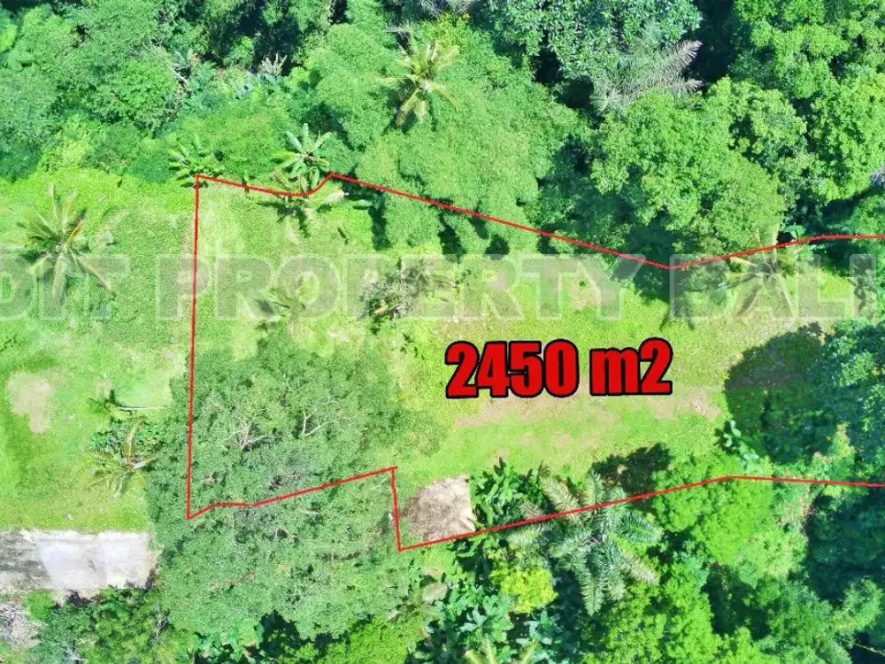 Tanah View Jungle & Sungai Payangan Ubud Gianyar Bali