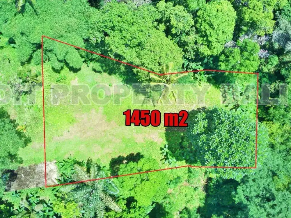 Tanah View Jungle & Sungai Payangan Ubud Gianyar Bali