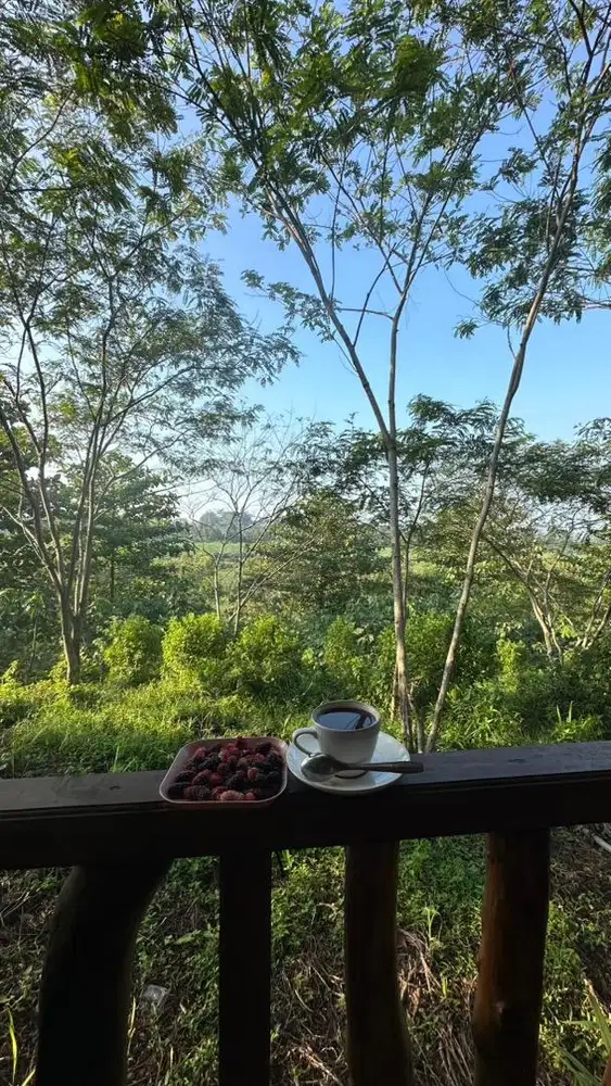 Jual murah sangat apartemen