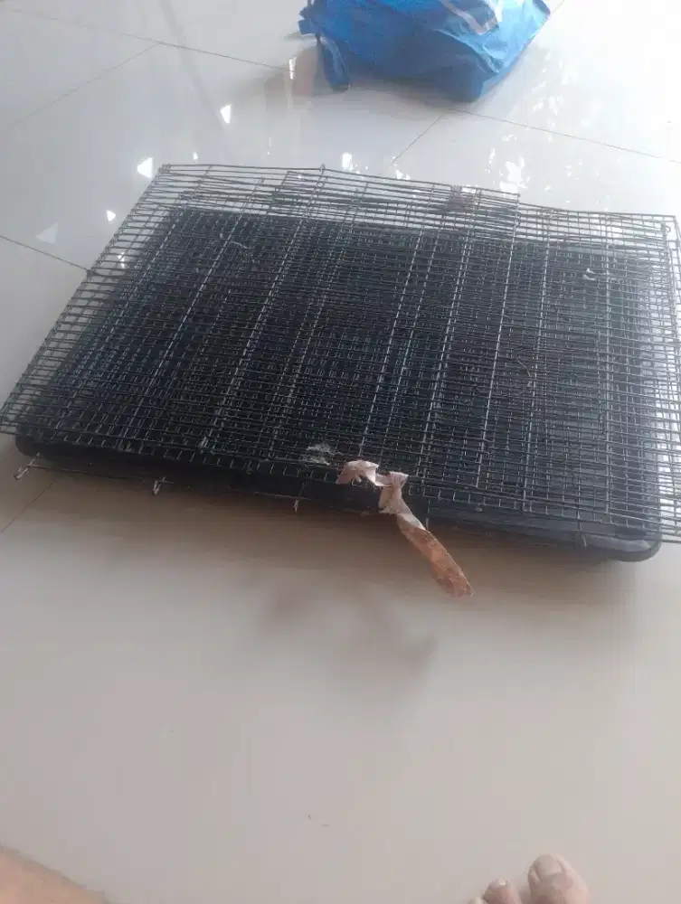 Kandang burung love bird,parkir dll