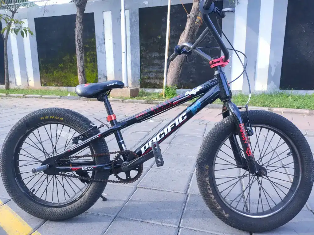 Sepeda Pasific 22 inch